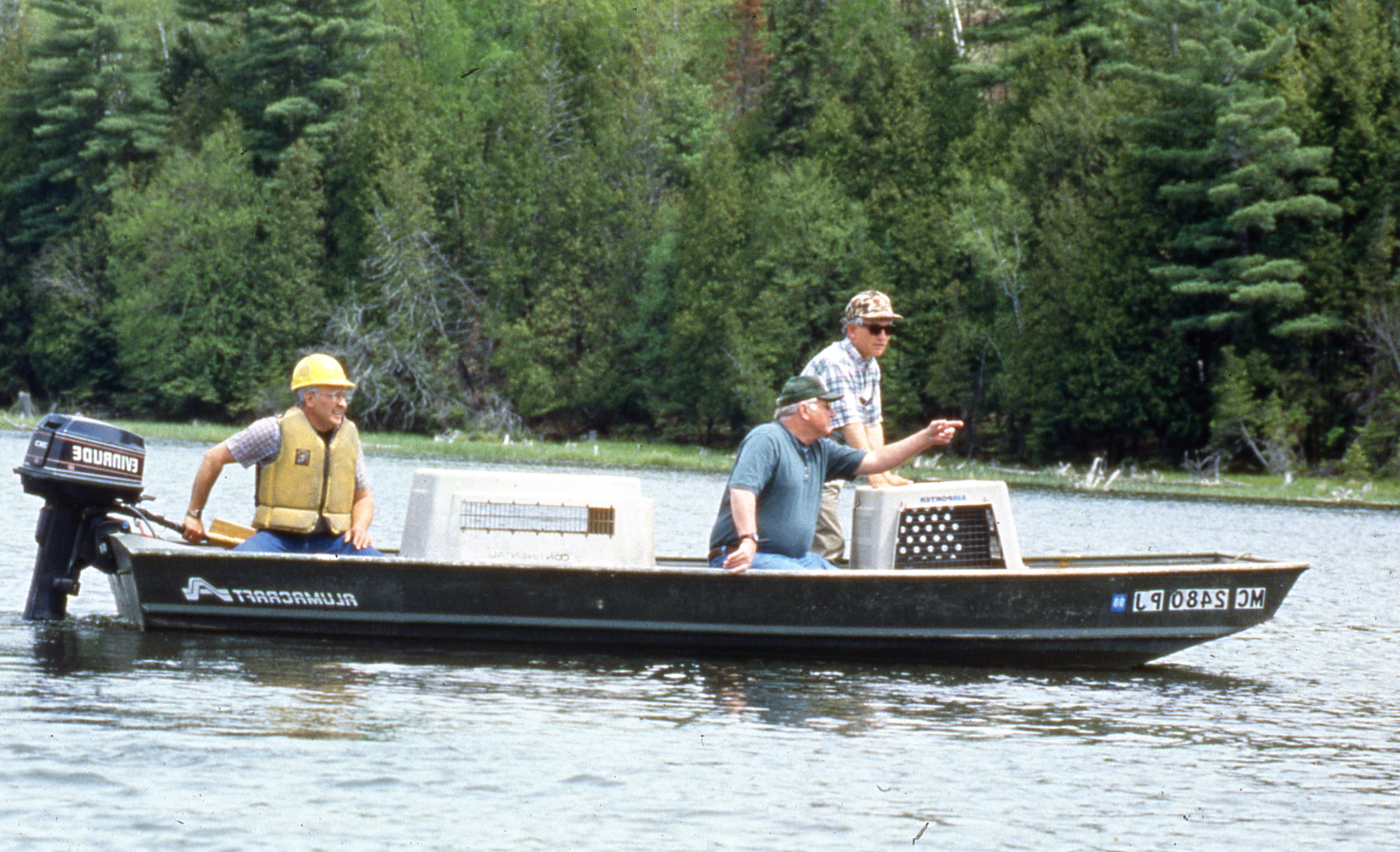 A photo of Wilbur C. "Joe" Johnson and others on a boat, transporting a trumpeter swan across a lake before release